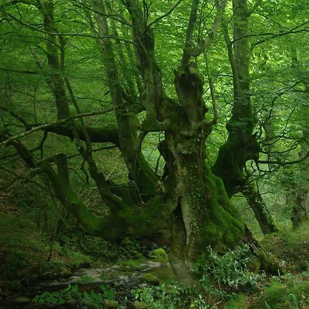 El Rincon Del Besaya 컨트리하우스 *