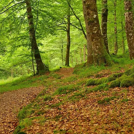 El Rincon Del Besaya Kır Evi Villasuso de Cieza