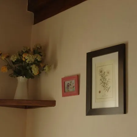 컨트리하우스 El Rincon Del Besaya *