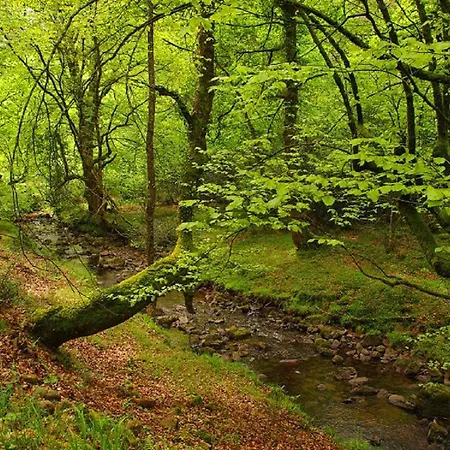 컨트리하우스 El Rincon Del Besaya Villasuso de Cieza