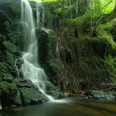 El Rincon Del Besaya 컨트리하우스