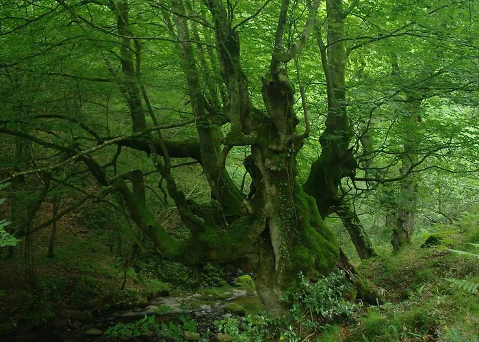 El Rincon Del Besaya Séjour à la campagne *