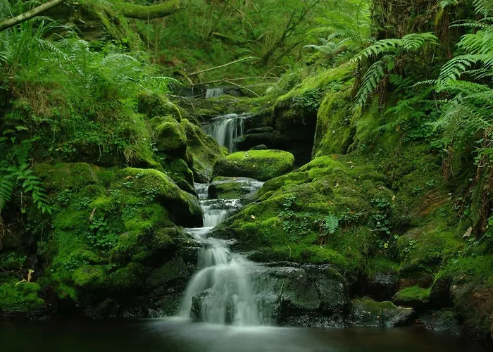 El Rincon Del Besaya Séjour à la campagne *