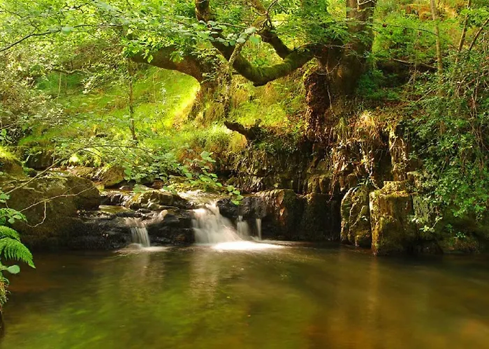 El Rincon Del Besaya *