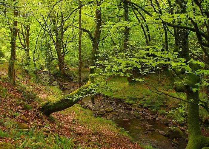 Séjour à la campagne El Rincon Del Besaya Villasuso de Cieza